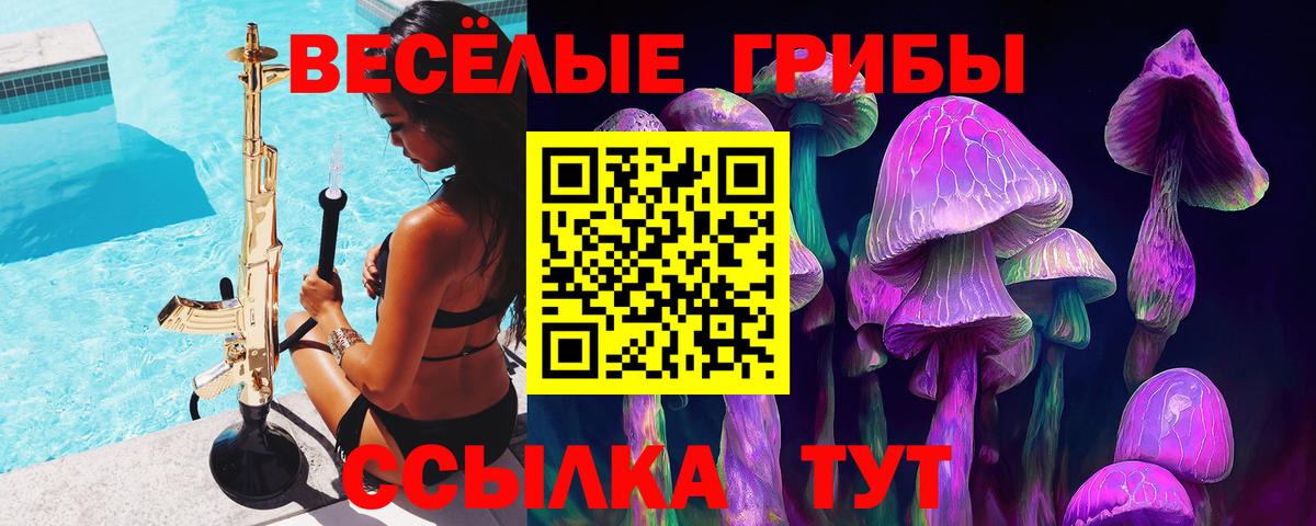 Благовещенск  дарнет шоп  Вход с VPN  Галлюциногенные грибы Magic Shrooms 
