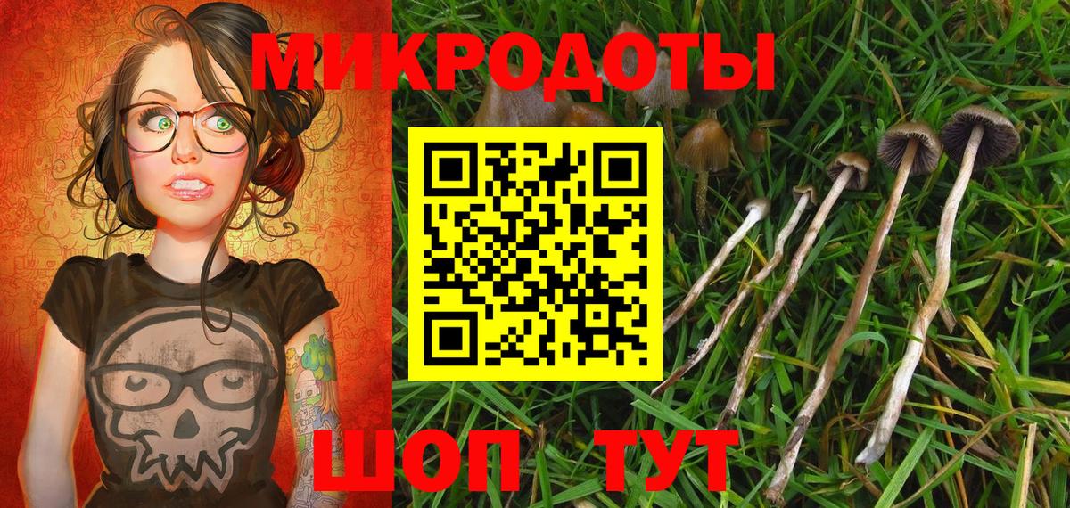 Псилоцибиновые грибы Cubensis Благовещенск